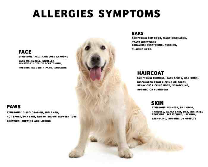 Allergies allergic reaction realize managed allergy