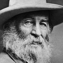 To walt whitman angela de hoyos