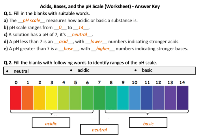 Acids bases and the ph scale worksheet