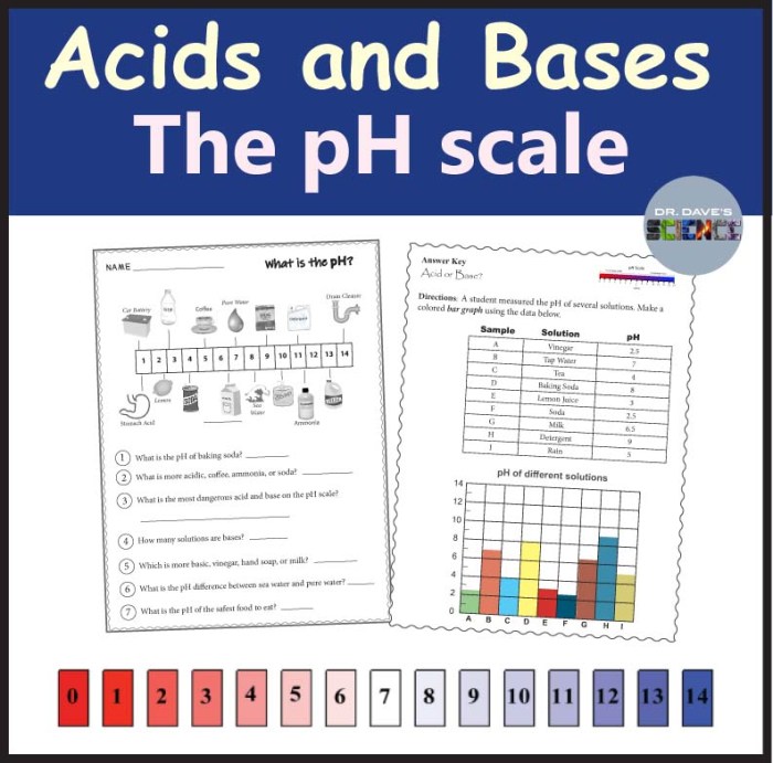 Acids bases and the ph scale worksheet