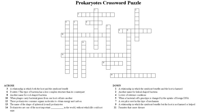 Cell crossword puzzle answer key pdf