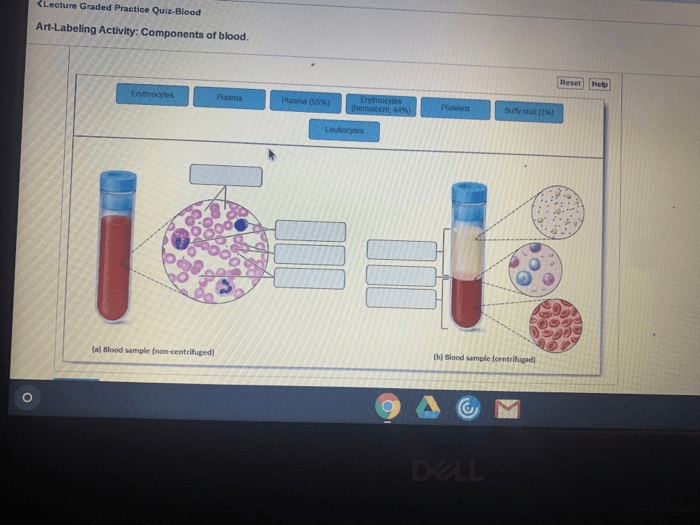 Art labeling activity components of blood