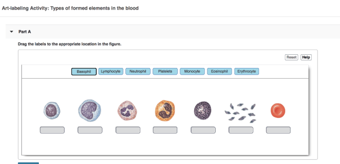 Art labeling activity components of blood