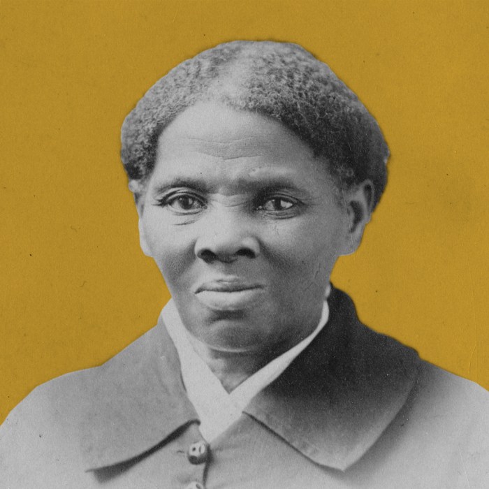 Did harriet tubman have fainting spells