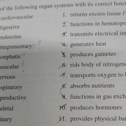 Respiratory physiology respiration