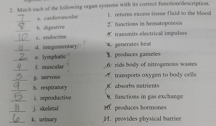 Respiratory physiology respiration