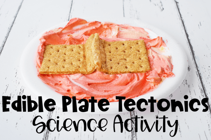 Graham crackers tectonic lab plate preview