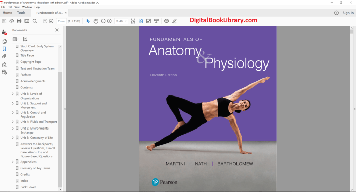 Fundamentals of anatomy and physiology 11th edition